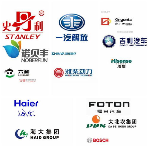 青島德瑪爾 專注機器人技術服務，引領智能化未來